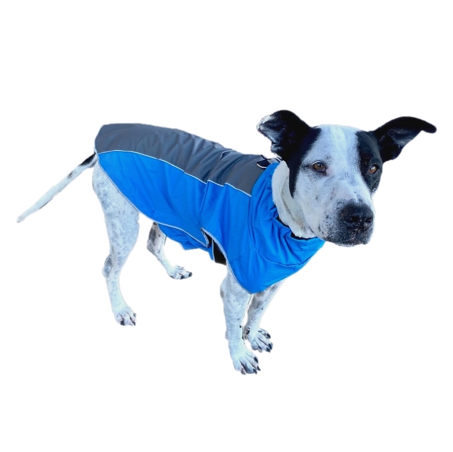 Dog Coat Waterproof Blue XL 2XL 3XL - Weatherproof Raincoat Adjustable ...