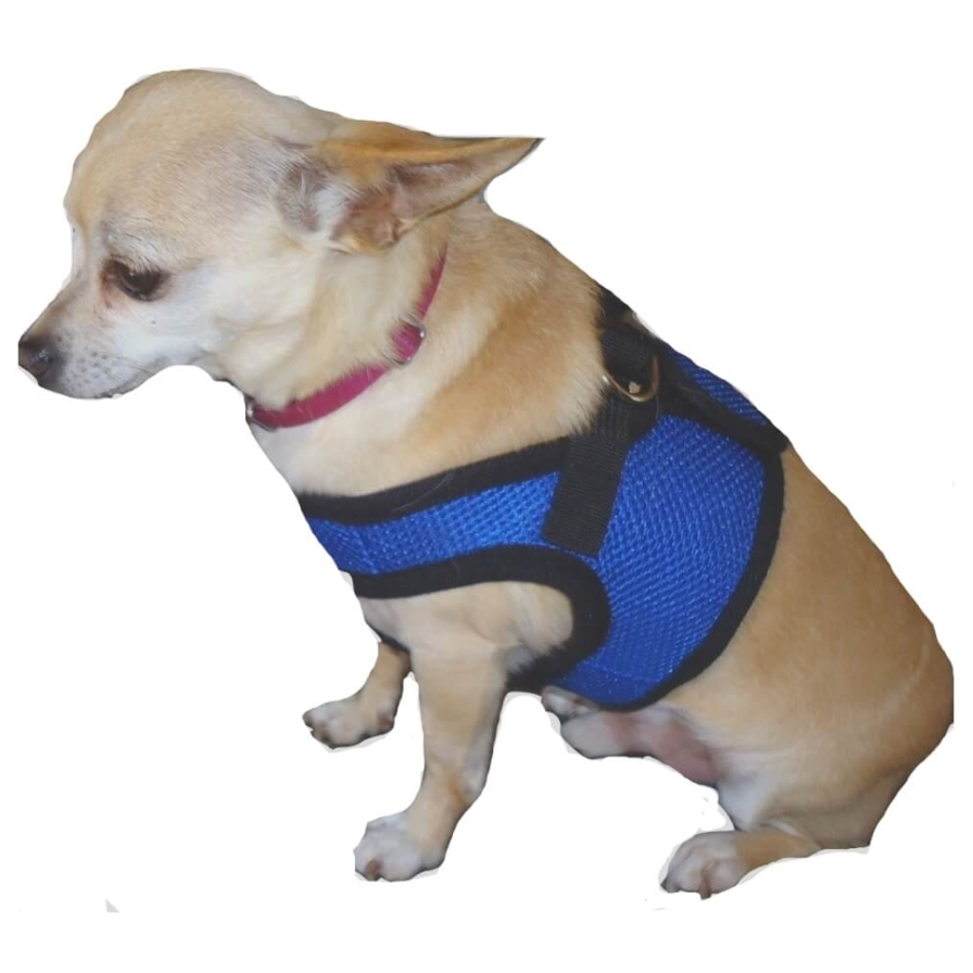 toy dog harness