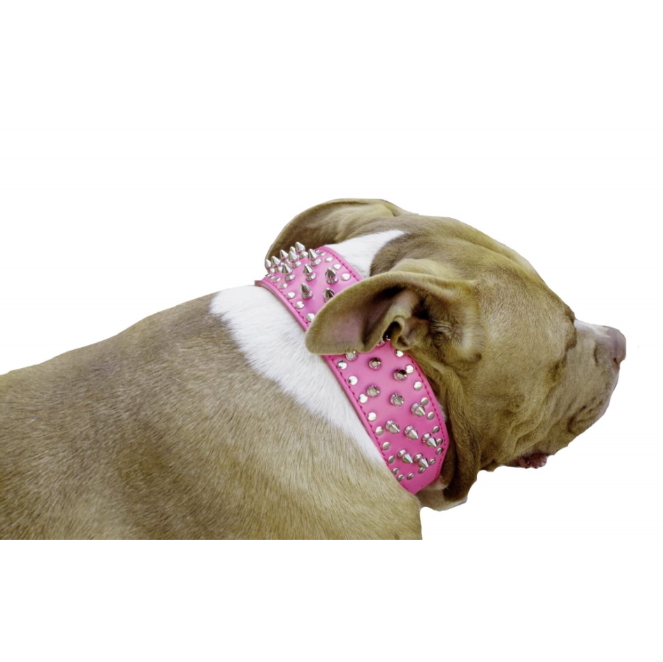 Large Dog Collar Studded Hot Pink Leather M L XL 5cm Wide Staffy Spiked