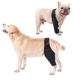 Dog Knee Support with band [Size: Medium]