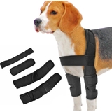 Dog Front Legs Knee Support