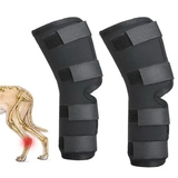 Dog Knee Support Pair