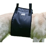Dog Lift Support Harness with handle
