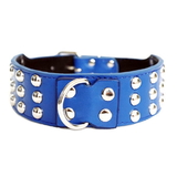 Dog Collar Flat Studs Blue 5cm  Wide
