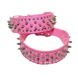 Dog Collar Studded Hot Pink 5cm Wide