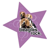 Beagle Dog  Magnet Purple Star 