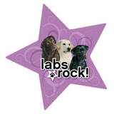 Labrador Dog Magnet Purple Star