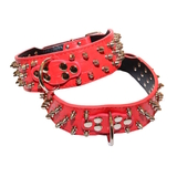 Dog Collar Studded Red Croc 5cm Wide
