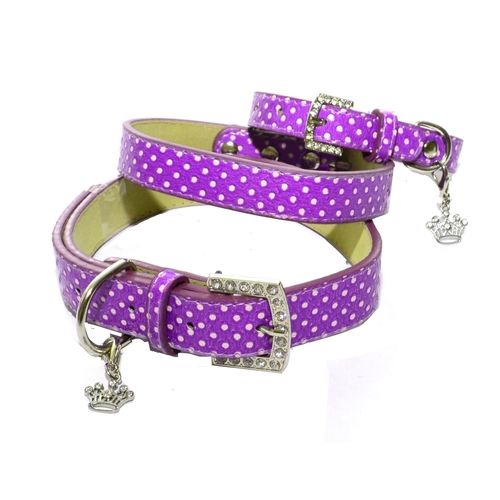 Dog Collar Purple Polka Dot 