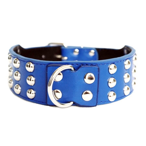 Dog Collar Flat Studs Blue 5cm  Wide