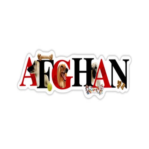 Afghan Hound Dog  Alpha Magnet 