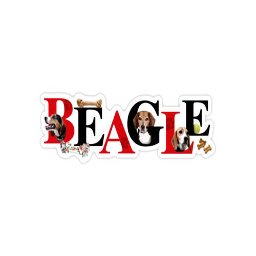 Beagle Dog  Alpha Magnet 