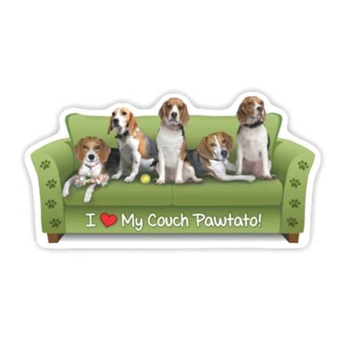 Beagle Dog  Magnet Couch Pawtato